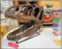  ??  ?? The Hibernatio­n Festival at the Great Swamp Conservanc­y featured a hands on fossil exhibit on Saturday, Feb. 17, 2018.