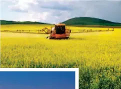  ??  ?? A canola oil production center in Hulun Buir, Inner Mongolia Autonomous Region. Over the last five years, China has accelerate­d its supply-side structural reform in rural areas.