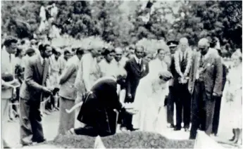  ??  ?? During her visit to then Ceylon in 1954 Queen Elizabeth II planted a sapling at the Victoria Park