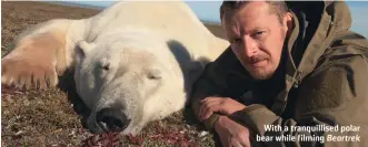  ??  ?? With a tranquilli­sed polar bear while filming Beartrek