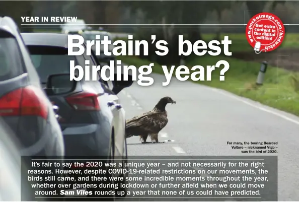  ??  ?? For many, the touring Bearded Vulture – nicknamed Vigo – was the bird of 2020.
