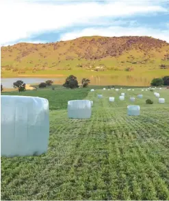  ?? Photos/supplied ?? Above left: Tuff board being used to great effect in a Perkinz Sheep press
Above: Every piece of plastic from customers is recycled