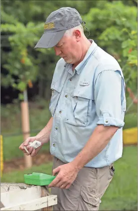  ?? / R. Steven Eckhoff ?? Billy Newby tests the sugar content in his grapes in West Rome.