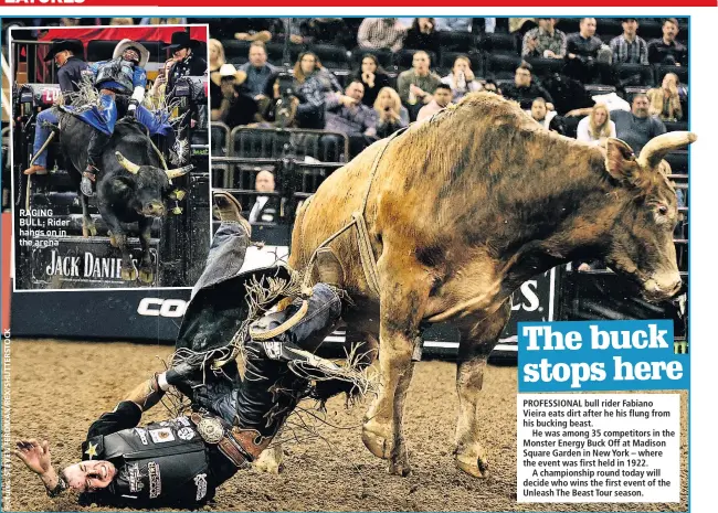  ??  ?? RAGING BULL: Rider hangs on in the arena