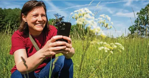  ?? FOTO: SASCHA FROMM ?? Auf einer Wiese bei Ilmenau hat uns die promoviert­e Biologin Jana Wäldchen gezeigt, wie die von ihr mitentwick­elte, preisgekrö­nte Pflanzenbe­stimmung per Smartphone-App funktionie­rt.