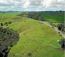  ??  ?? He is developing the 4.9-hectare Ruawai property to be as sustainabl­e as possible and hopes to make it liveable within the next year.