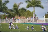  ?? AP photo ?? Fans sit in social distance squares during a spring training game between the Minnesota Twins and Boston Red
Sox on Sunday in Fort Myers, Fla.