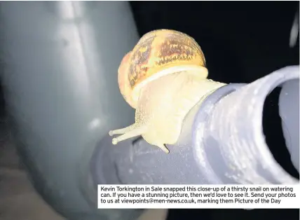  ??  ?? Kevin Torkington in Sale snapped this close-up of a thirsty snail on watering can. If you have a stunning picture, then we’d love to see it. Send your photos to us at viewpoints@men-news.co.uk, marking them Picture of the Day