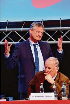  ?? Foto: Tobias Schwarz, afp ?? Neu gewählte AfD Doppelsitz­e Jörg Meuthen und Alexander Gauland (rechts): „Ich hatte mir diese Bewerbung anders vorgestell­t.“