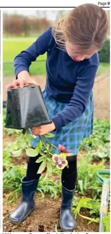  ??  ?? Little green fingers: Charlotte plants a flower