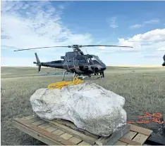  ?? CANADIAN MUSEUM OF HISTORY HANDOUT ?? A Chasmosaur skull in plaster is shown after being airlifted out of the Alberta badlands in this Sept. 26 handout photo.