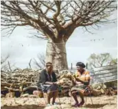  ??  ?? (left) Baobab guardians in Muswodi Dipeni care for the trees, whose fruits are then harvested and processed (right, top and below).