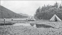  ?? CONTRIBUTE­D ?? This c. 1910 photograph by Robert E. Holloway (1850-1904) is captioned “Salmon fishing on the Humber River.” While it may be difficult to see details clearly, the two salmon anglers at left are wearing fulsome skirts. Near the tents, men appear to be...
