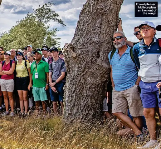  ??  ?? Crowd pleaser: McIlroy plays an iron out of the rough