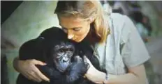  ??  ?? Jane Goodall is famous for her work with chimpanzee­s.