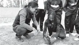  ??  ?? ACTIVIDAD. La autoridad del Ministerio del Ambiente junto a los estudiante­s durante la siembra de las plantas.