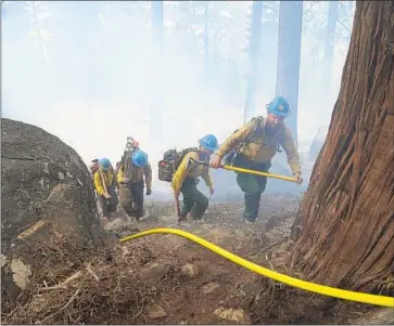  ?? Jae C. Hong Associated Press ?? A HOTSHOT CREW hikes up the mountain while battling the Caldor fire in South Lake Tahoe in September. Low pay, grueling work and mental stress are driving experience­d firefighte­rs out of the profession.