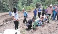  ?? FOTO: EL HERALDO ?? Ayer arrancó la siembra de ajonjolí en el municipio de Tomalá, el que será exportado al mercado taiwanés.