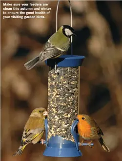  ??  ?? Make sure your feeders are clean this autumn and winter to ensure the good health of your visiting garden birds.