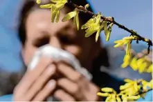  ?? Angelika Warmuth/ Getty Images ?? Climate change is leading to higher pollen counts earlier in the year and prolonging those periods of high pollen, experts say.