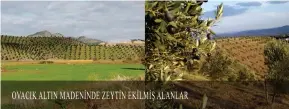  ??  ?? Şekil 3- Ovacık Altın Madeni açık ocak şevinde doğaya yeniden kazandırma çalışması, 2011