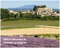  ??  ?? Take in the scent of lavender in Grignan