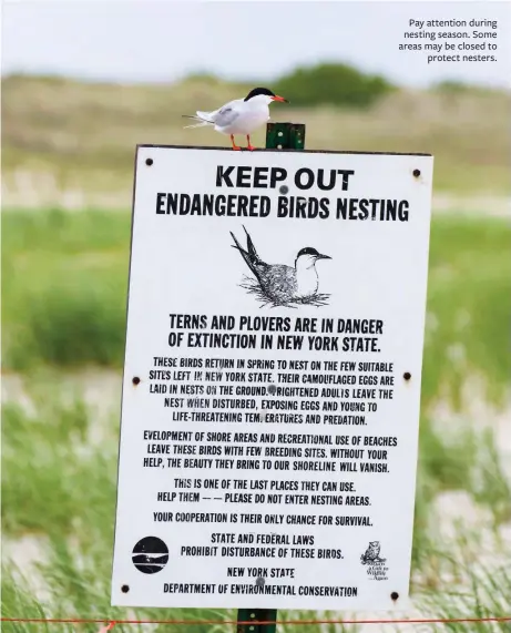  ??  ?? Pay attention during nesting season. Some areas may be closed to protect nesters.