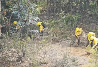  ?? / AGENCIA UNO ?? En muchas ocasiones, los brigadista­s de Conaf deben realizar cortafuego­s de emergencia en terrenos forestales privados debido a la falta de prevención.