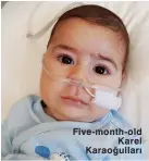  ??  ?? Five-month-old Karel Karaoğulla­rı