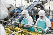  ??  ?? Workers scoop eyes from potatoes at a Japanese factory. When a food processing plant tried out a robot prototype designed to remove the eyes, the machine was not up to the task.