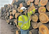  ?? MICHAEL HILL/AP ?? Tom Gerow, a general manager at The Wagner Companies, inspects ash logs at the firm’s mill in Owego, N.Y.