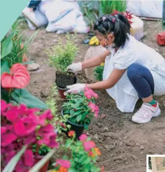  ?? ?? A child helps build a community garden in Sanlin.