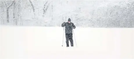  ?? CATHIE COWARD THE HAMILTON SPECTATOR ?? A man skis across the open field between two baseball diamonds at the back of Dundas Driving Park Tuesday during the storm.