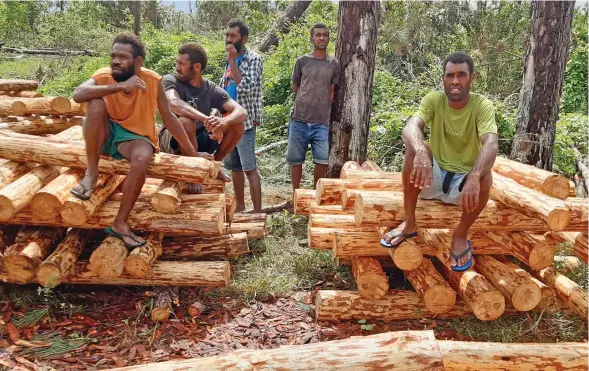  ?? Photo: Ministry of Forestry ?? Villagers of Naqalotu in Yawe with sawn pine logs ready for their new homes.