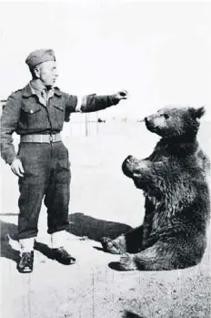  ??  ?? Private Wojtek was a Syrian brown bear cub found in Iran by soldiers of the Polish Second Corps and adopted as their mascot.