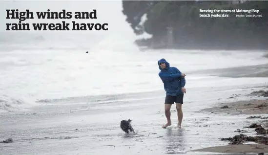  ?? Photo / Dean Purcell ?? Braving the storm at Mairangi Bay beach yesterday.