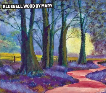  ??  ?? BLUEBELL WOOD BY MARY