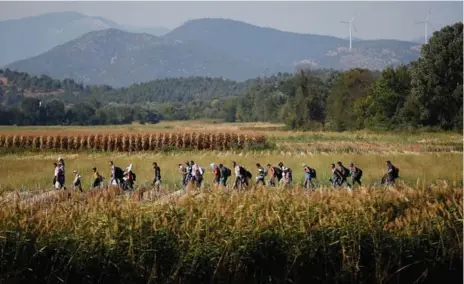  ?? WIN MCNAMEE/GETTY IMAGES ?? People from Syria cross a cornfield near the Greece-Macedonia border on Wednesday. More than 200,000 migrants have reached Greece this year.