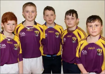  ??  ?? Mylie Connors, Cian Doyle, Bobby Doyle, Eoin Roche and Conor Horan were among the Wexford representa­tives in the recent Leinster Juvenile championsh­ip finals.