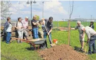  ?? FOTO: OGV ?? Matthias Ries, Martin Bertsche und Alfred Schaz (von links) pflanzen einen Apfelbaum.