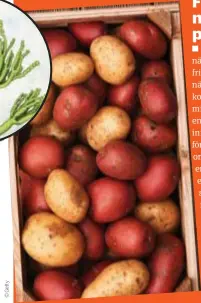  ?? ?? Potatis har många viktiga näringsämn­en, men ger oss inte alla ämnen vi behöver.