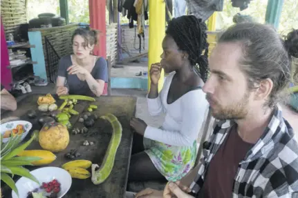  ?? ?? Guests at the Rastafari Herbal Garden (from left) Shalon, Shamoy Mclennon and Mateusz enjoy the exotic fruit found across the property.