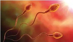 ?? ?? Na jakość spermy wpływa wiele czynników, np. infekcje, zaburzenia hormonalne, anemia, cukrzyca, leki przeciwcuk­rzycowe.