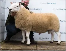  ?? Ref:RH03102228­3 ?? SELLING FOR a new breed record of £28,000 was Attonburn Bonnie Lad from Robert and Becca Rennie