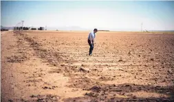  ?? ROBERTO E. ROSALES/JOURNAL ?? Mexican Mennonite farmer Pedro Suderman checks a drip irrigation system for his field in northern Chihuahua in the pueblo of El Camello, just east of New Mexico’s Hidalgo County.