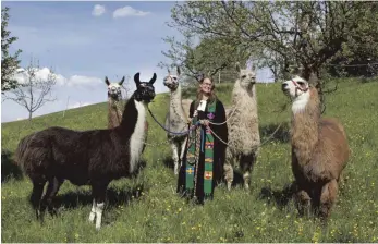  ?? FOTO: GERHARD BAEUERLE/EPD ?? Pfarrerin Ulrike Schaich mit ihren Lamas vor einem Gottesdien­st in Reutlingen-Ohmenhause­n