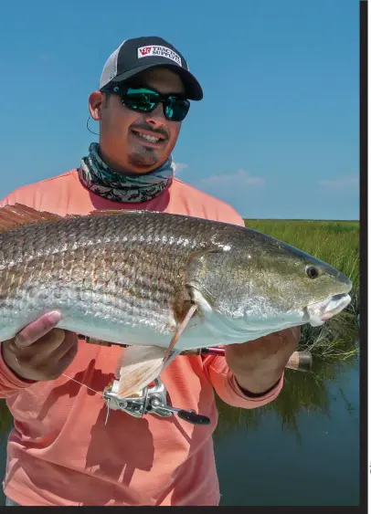  ??  ?? DAWN PATROL: Starting early, when wind and boat traffic are down, often pays off, left.
MARSHING ON: Hefty reds like this one frequent North Carolina marshes, above.