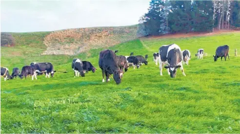  ?? Photo / File ?? The green grass of home: Kiwi farmers are under duress even though they’re producing some of the most climate-friendly food in the world.