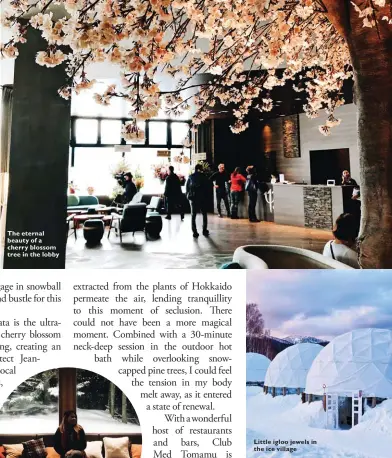  ??  ?? The eternal beauty of a cherry blossom tree in the lobby Little igloo jewels in the ice village