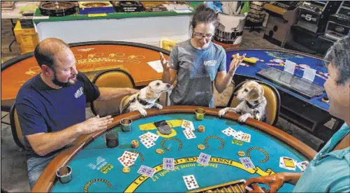  ??  ?? Pennell, Delozier and their dogs join Reyes for a hand of cards.